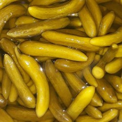 خیارشور نمکی