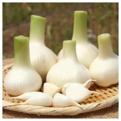 سیر پاک شده خام